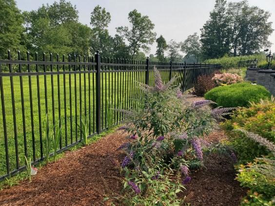 Vanguard Avant A-1 Aluminum Fence in Goshen NY 2